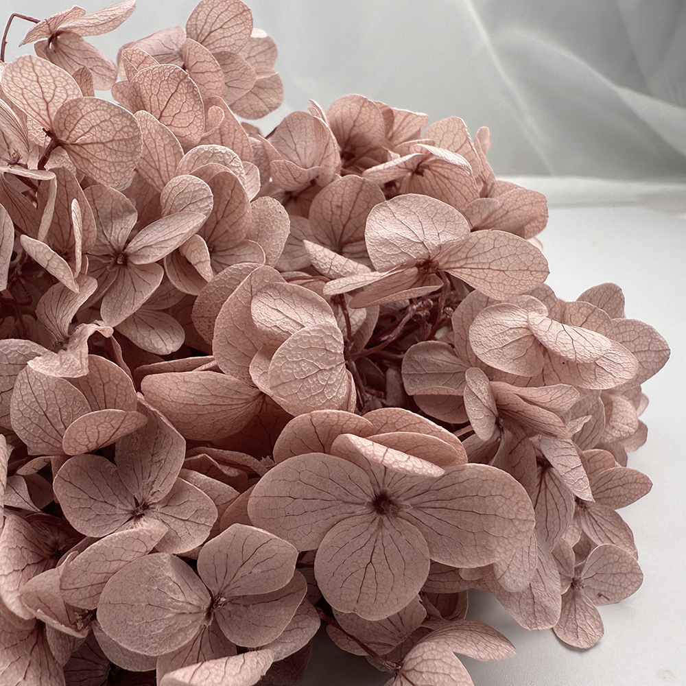 Flores de hortensia preservadas de calidad A+ del fabricante de Yunnan, flores preservadas en caja de 20g.