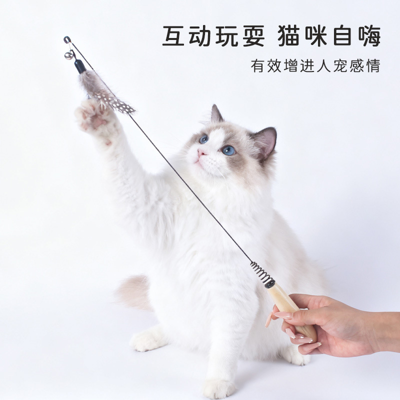 源头赛季逗猫棒木柄弹簧逗猫杆可替换羽毛头逗猫咪玩具自嗨解闷|undefined