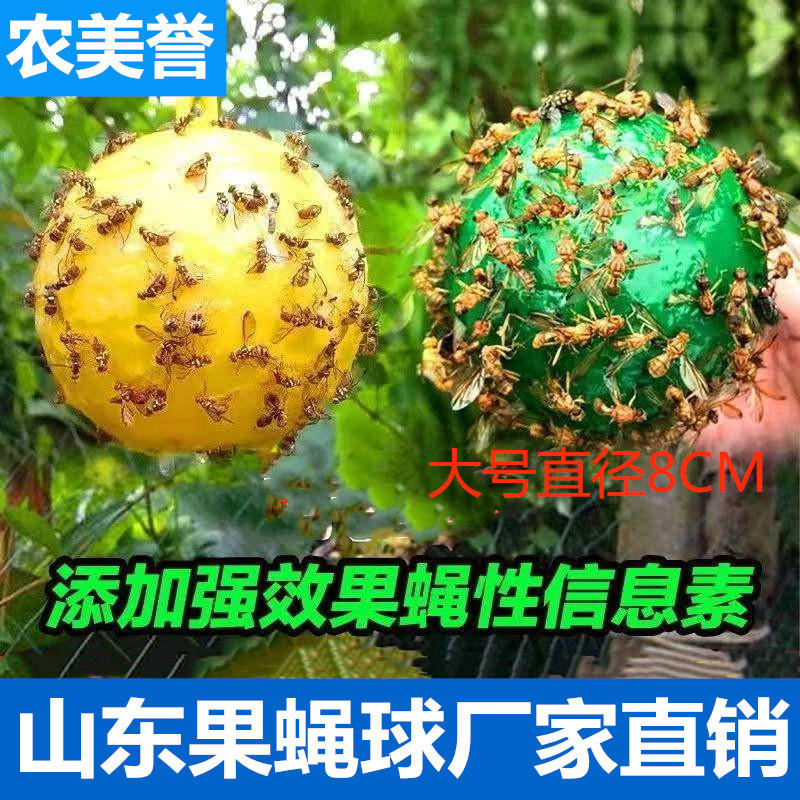 Fruit tree fly trap ball citrus big fruit fly Orange small fruit fly melon fruit fly armyworm Ball Trap ball needle honey bee melon fruit fly
