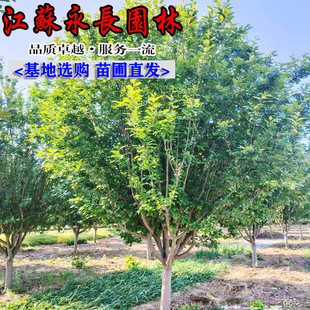 ���l�������Ę����ζ�����҃������b������h��Ҏ���Rȫ��������