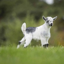 �^�p�����Bֳ���س��ی�����С��ɽ����w�W�t٪���������