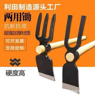 �Ӻ�ȫ�С�z�^ͥԺ�Nֲ���ò��z�N���N���z����������i䓃����z
