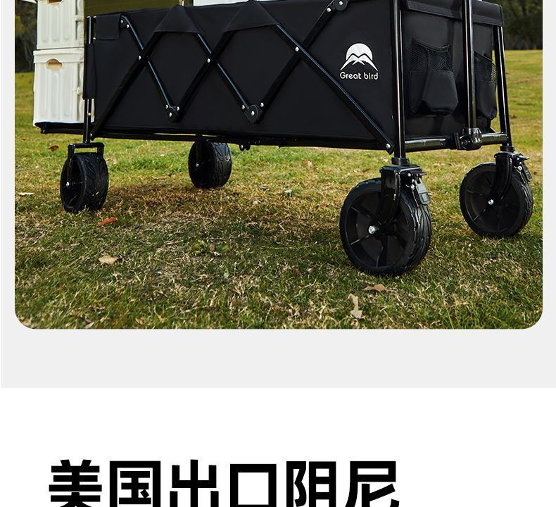 847fdee9-56a7-40a0-938b-df6bf8ed33e1.jpe