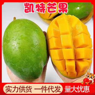 �����Ĵ��P��â��9���������r�����ЋDˮ��10���l���]5�Fժ��â��