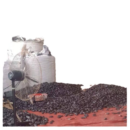Factory-wholesale premium pebbles: park paving, ground cover, polished Yuhua stones, pond & aquarium base decor, landscaping rocks