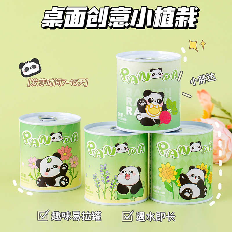 学生礼物趣味熊猫易拉罐植物小盆栽花卉种植学生奖品儿童伴手礼