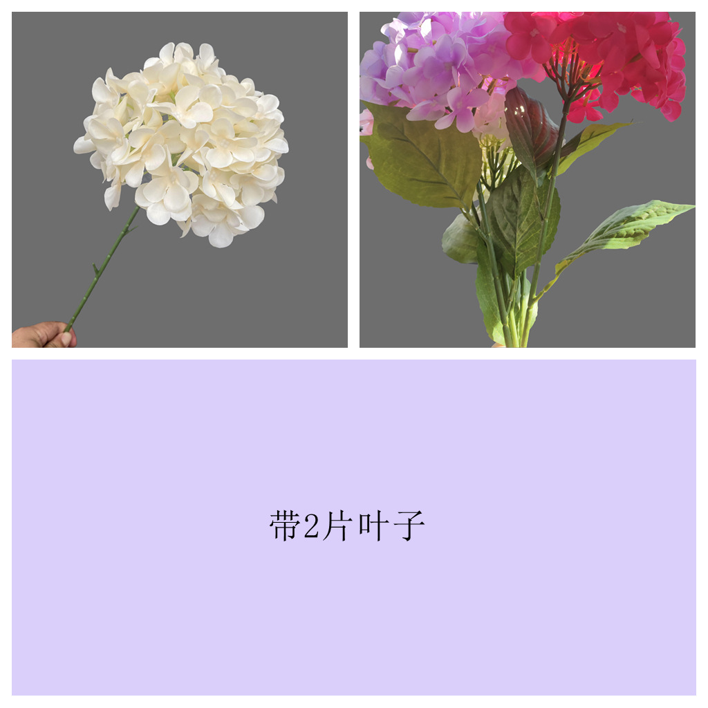 72개입 잎사귀 달린 샴페인 골드