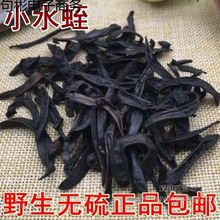 包邮材水蛭蚂蟥小水蛭干吊干金边医蛭小水蛭清水