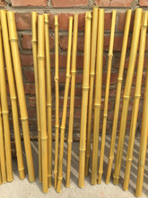 仿真金竹子金色竹子仿真竹竿樹金色竹子盆景背景裝飾加密竹子
