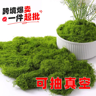 ����̦�\��̦�쾰�����ٲ�Ƥ΢���^���Ô[����ƺ�����辰