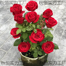 ���ֱ�lõ���ϸ��Ϙ��ļ��_���̨�����¼�������҃��׻��