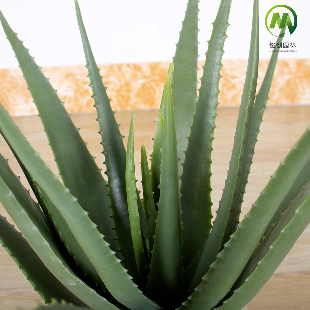 Decoración del hogar suculentas plantas en macetas simulación suave aloe vera bonsai alta simulación suculentas plantas verdes falsas en macetas image 4
