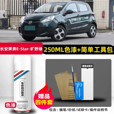 repair paint, Avtomobil boya qələmləri - changan-benben-wilderness-green-single-bottle-spray-paint-comes-with-brush-sandpaper