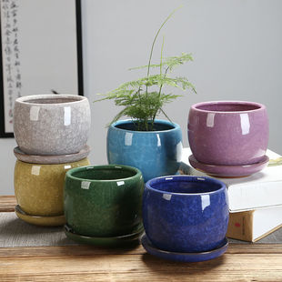 �����Զ���ֲ�����ɫ��̖���бP�����մɺ��s͸��Gֲ������]�S