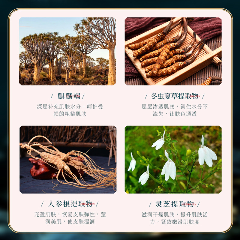 Xiaomeitang Shenzhi hidratante piel real crema perla hidratante crema de maquillaje dama dragón crema de sangre crema