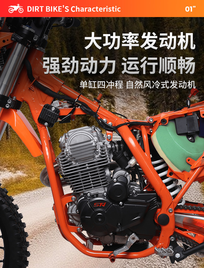 Cross-Border Export of Mountain Off-Road Motorcycles Stn/X6/Pr300, Medium-Sized High-End Racing Bikes Suitable for Both Girls and Boys
