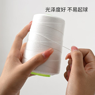 103206�p�x���������������������f��ھ���ɫ6�ɿp����
