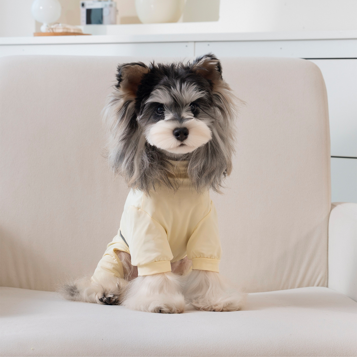 Chaleco refrigerante ligero para perros pequeños transpirable_voghion.com