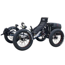 TrikExplor recumbent Quad F420E XϽ݆늄܇