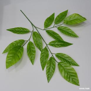 �S�������֦�~���~����֧�~�ؑc�S����֦�~���^ˮ�����֧�~��