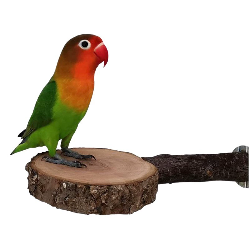 Подставка для попугаев платформа для птиц Тоторо молярный яблочный лес прыгающая платформа белка деревянная подставка стержень медовый мешок прыгающая колонна