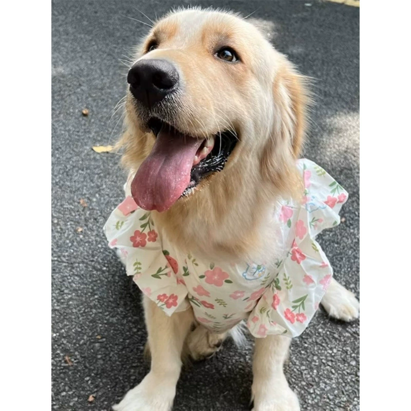 Домашние собаки жилет для собак сезон тонкий золотистый