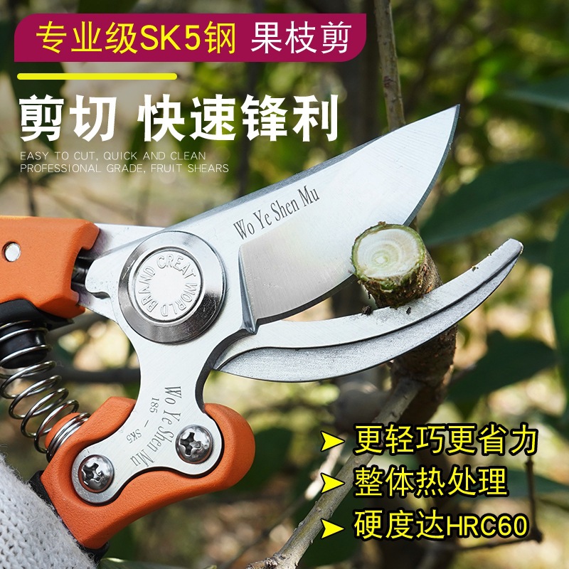 强力修枝剪果树剪枝修剪树枝花剪园艺园林剪树枝花艺家用修花剪刀