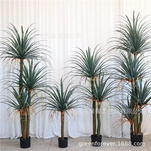 Nordic Style Simulation Plant Green Plant Bionic Ladioptera Blood Iron Bonsai Indoor Living Room Decoration Fake Potted Millennium Wood