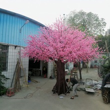 ѻ䲣䓷佁|bm춻ŸƵ쾰