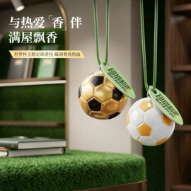 汽车清洁工具;车用香水香薰;车载电器