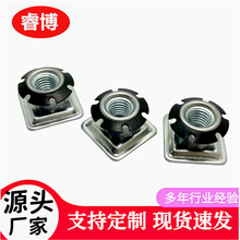 ÷����Ƭ��ʽ��ĸչʾ���ȹ܃��{���_ ������ȹ܃��{���_M6