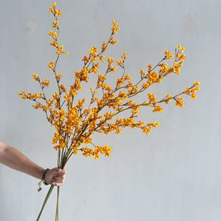 �¿��������ʽ �����ٹ� ӭ���� �Ӱ巿 �廨�b��������޸ɻ�