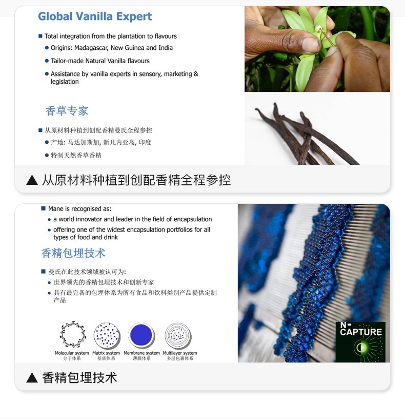 Korean Car Air Freshener Tropical Red Fruit Grape Scent Mic Car Ornament Rattan Air Freshener Perfume Essential Oil Dropshipping