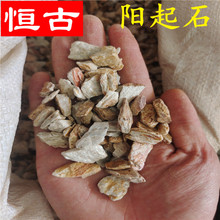 ���ʯ ��ș�����ʯ���l �Vʯ һ�����l ����r��