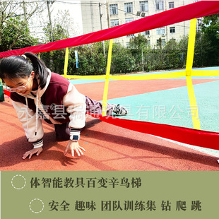 Xinniao Ladder Kindergarten Physical Intelligence Sensory Training Equipment Drilling Hole Jumping Grid Children's Outdoor Sports Game Props