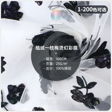 �C��ֲ�q�W�� 25g�����\�]����W�۲� һ֦÷ֲ�q�Y���B��ȹ����