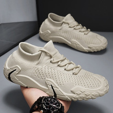 �WЬ��2026�ļ�������ĥ���e�p������\����Ь͸���w���W���m��Ь