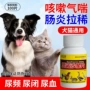 急救感冒禽类活鸡鸡鸭鹅