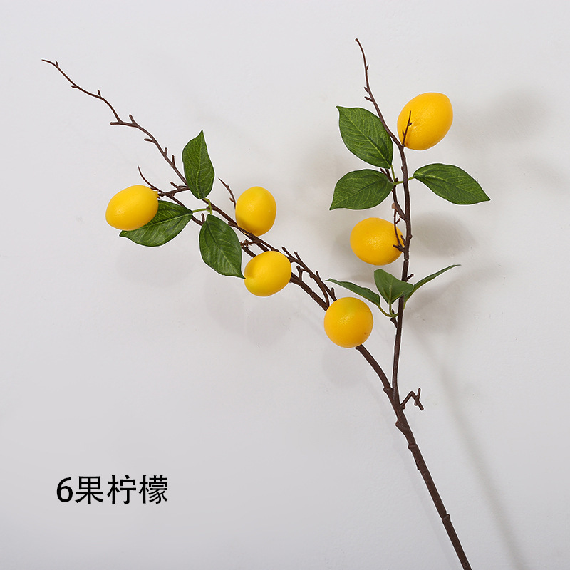 O1CN01WAH8p31wLmp5UbGZv_!!2212