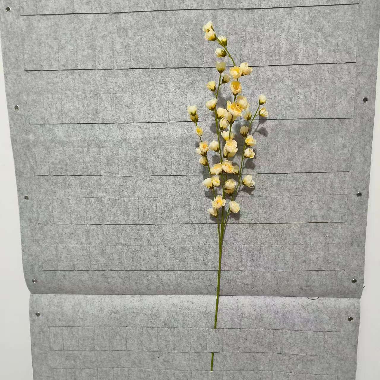 샴페인