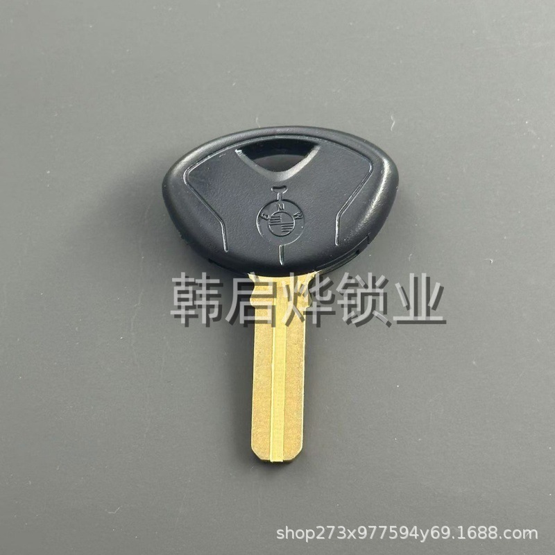 Suitable for Bmw K1200K1300S1000Rrrhp4 Motorcycle Key Replacement with Chip Installation Possible