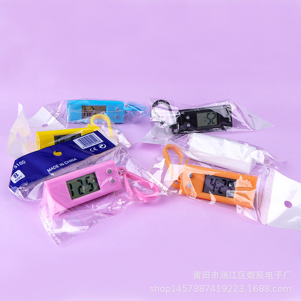 Small handheld digital watch