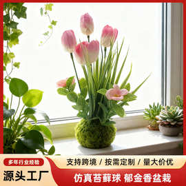 跨境热销仿真苔藓球郁金香盆栽室内外家居装饰桌绿植摆件工厂批发