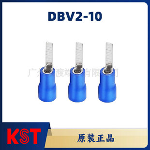 KST�����dDBV2-10Ƭ���A�^������/����/������/���~�Ӿ�����