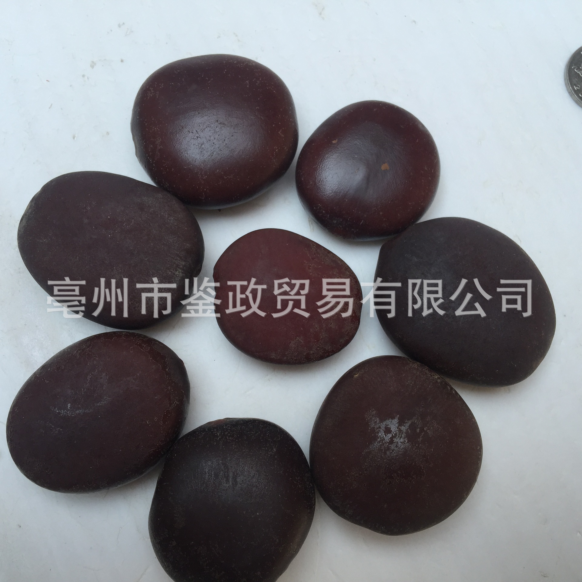 Mu Yao Zi Dried Entada Seeds 500g Bulk Traditional Herbal Ingredient key features