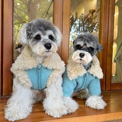 犬服秋冬新作ベルベット厚手小型犬テディ比熊ペット保温綿服