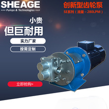 齿轮泵耐腐蚀耐磨损循环传输计量磁力泵SHEAGE SE505-CS计量泵