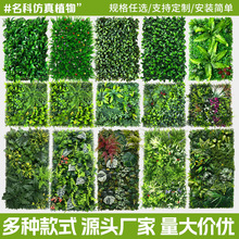 �羳����ֲ��ȼ������m���ϼٲ�ƺ�����Gֲ�������̈��b����l
