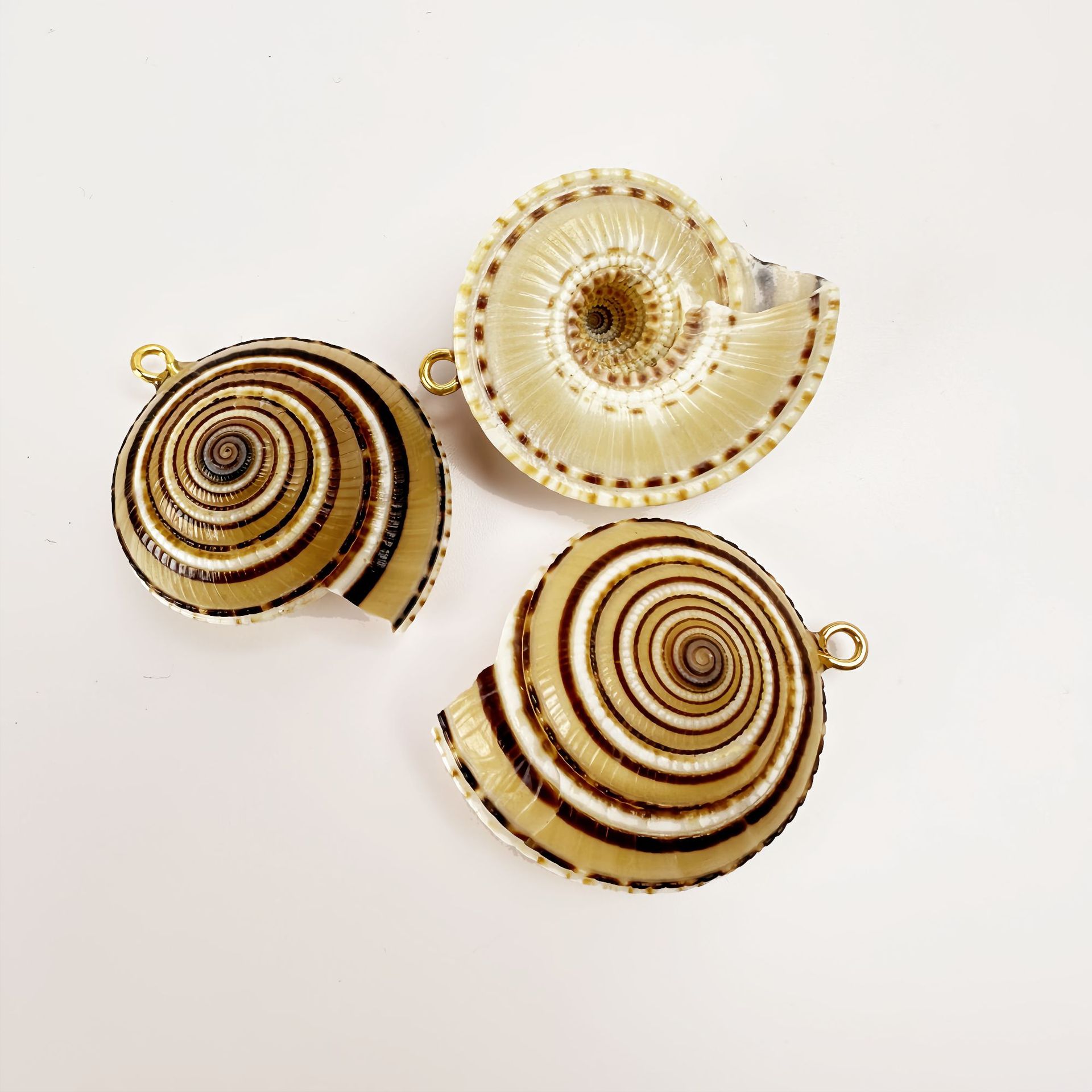 바퀴 나사 6개(금도금 가장자리 없음)