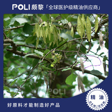 印度进口玫瑰木精油原液 单方精油原料批发 颇黎进口黄檀木精油